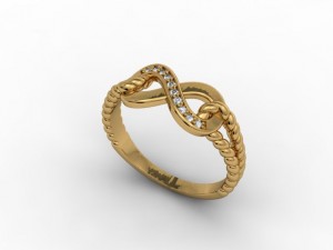 jewellery ring rope 3D Print Model