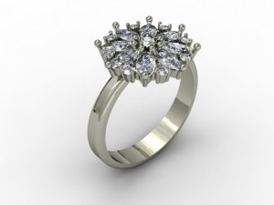 jewellery ring 3D Print Model