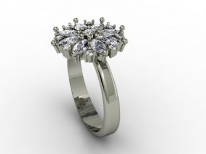 jewellery ring 3D Print Model