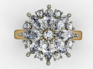 jewellery ring 3D Print Model