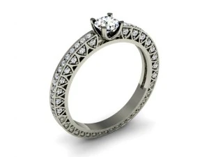 anello di gioielli Modello di stampa 3D