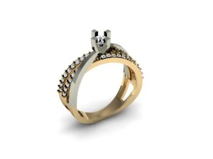 jewellery ring 3D Print Model