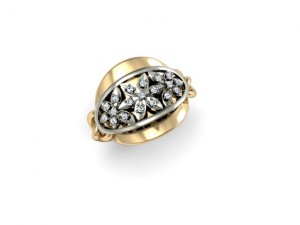 jewellery ring 3D Print Model