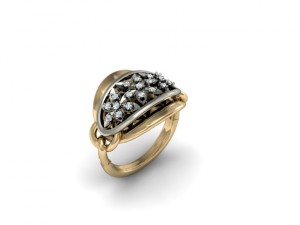 jewellery ring 3D Принт Модель