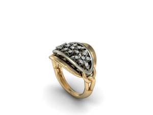 jewellery ring 3D Принт Модель
