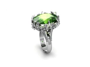 jewellery ring 3D Print Model