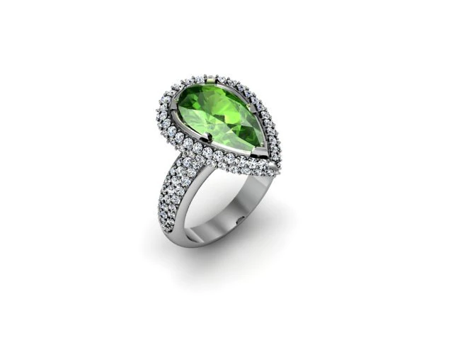 jewellery ring 3D Print Model .c4d .max .obj .3ds .fbx .stl .blend 
