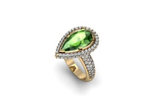 jewellery ring 3D Принт Модель