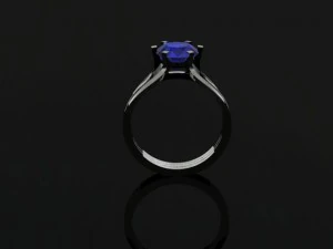 jewellery ring 3D Print Model