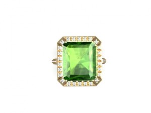 jewellery ring 3D Принт Модель