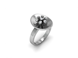 jewellery ring 3D Принт Модель
