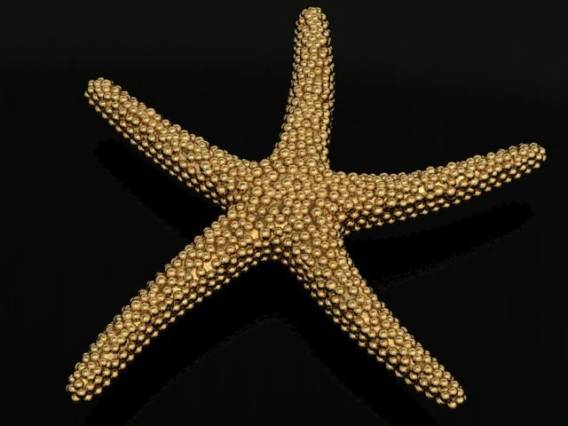starfish pendant 3D Print Model .c4d .max .obj .3ds .fbx .stl .blend