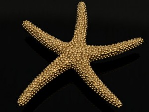 starfish pendant 3D Print Model