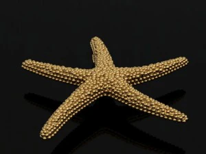starfish pendant 3D Print Model