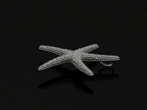 starfish pendant 3D Print Model