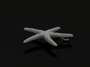 starfish pendant 3D Print Model