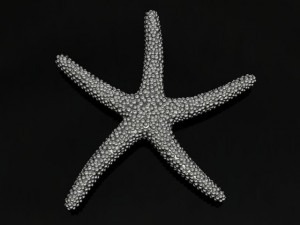 starfish pendant 3D Print Model