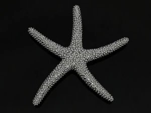 starfish pendant 3D Print Model