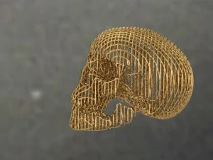 skull 3D Print Model