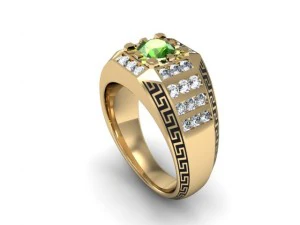 jewellery man ring 3D Print Model