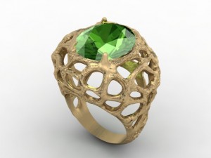 jewellery ring 3D Принт Модель