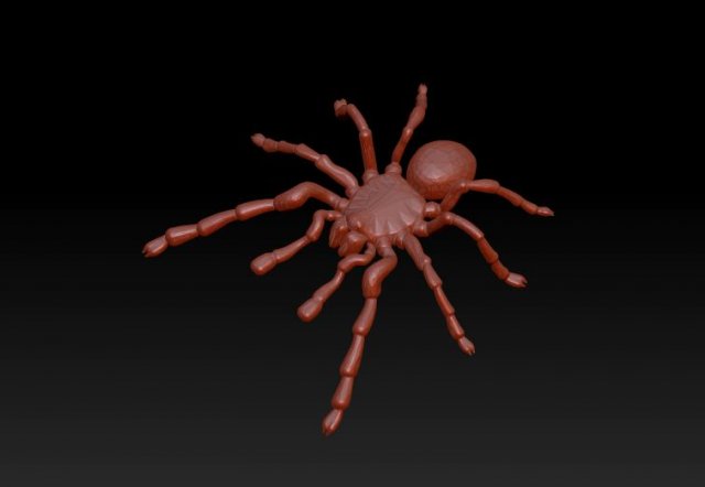 spider 3D Model .c4d .max .obj .3ds .fbx .stl .blend 