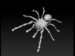 spider 3D Model