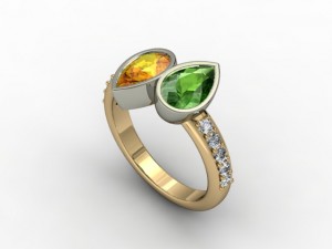 jewellery ring 3D Print Model