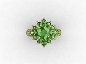jewellery ring Modello di stampa 3D