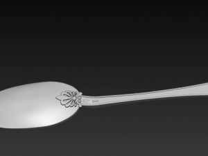 spoon 3D Print Model