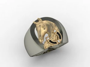 horse ring 3D Print Model