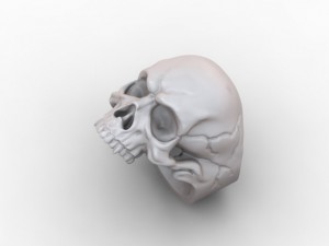 skull ring 3D Print Model