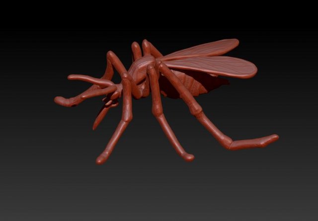 culex 3D Model .c4d .max .obj .3ds .fbx .stl .blend 