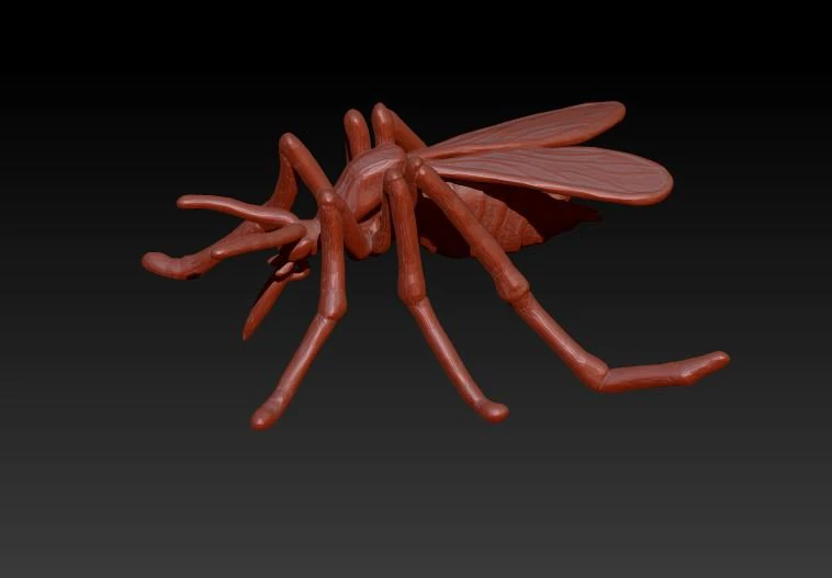 culex 3D Model .c4d .max .obj .3ds .fbx .stl .blend 