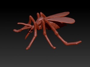 culex 3D Model