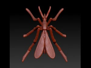 culex 3D Model