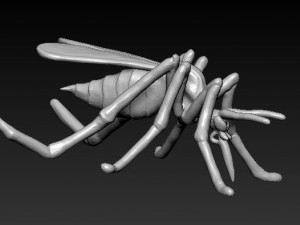 culex 3D Model