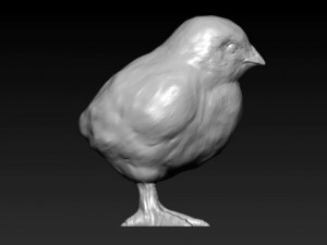 chick 3D Model
