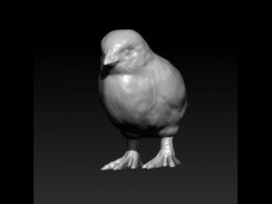 chick 3D Модель