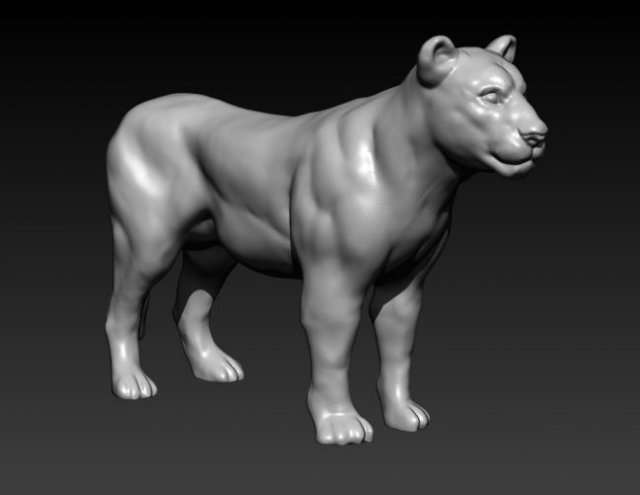 lioness 3D मॉडल .c4d .max .obj .3ds .fbx .stl .blend 