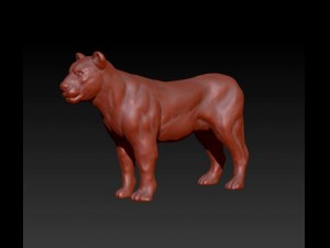lioness 3D मॉडल