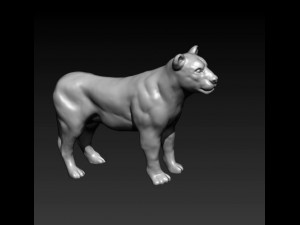 lioness 3D मॉडल