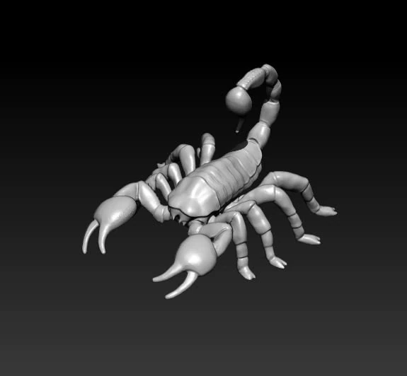 scorpion 3D Model .c4d .max .obj .3ds .fbx .stl .blend 