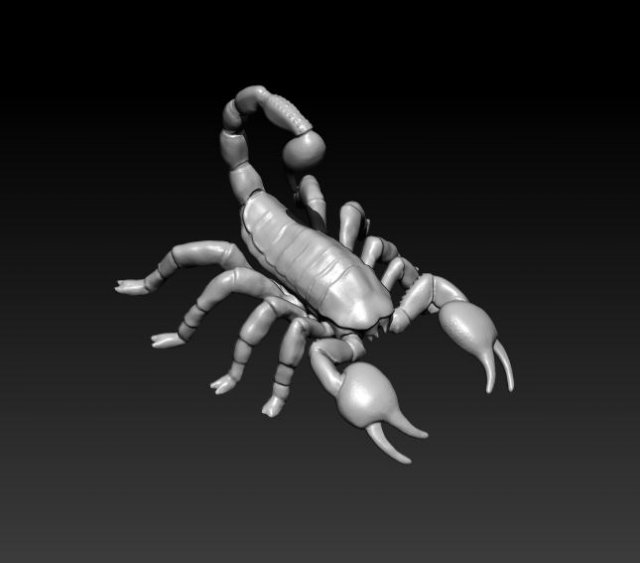 Scorpion 3d Model In Other 3dexport 1514