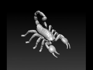 scorpion 3D 모델