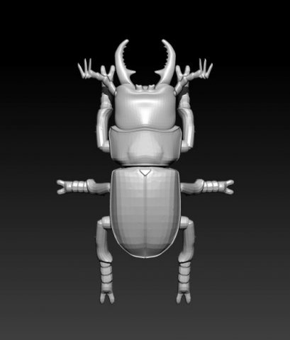 stagbeetle scarab 3D-Modell .c4d .max .obj .3ds .fbx .stl .blend 