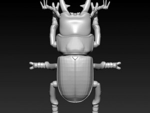 stagbeetle scarab 3D Модель