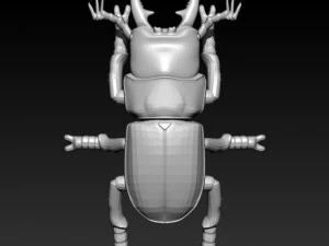 geyik b&ouml;ceği bok b&ouml;ceği 3D Model