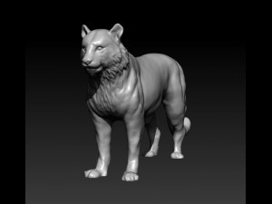 Bengal Tiger 3D Model Rigged and Low Poly Game ready - Team 3d Yard