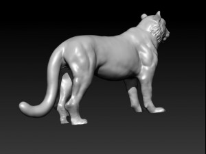 tiger 3D Model